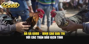 Đá Gà Go88 – Đỉnh Cao Giải Trí Với Các Trận Đấu Kịch Tính